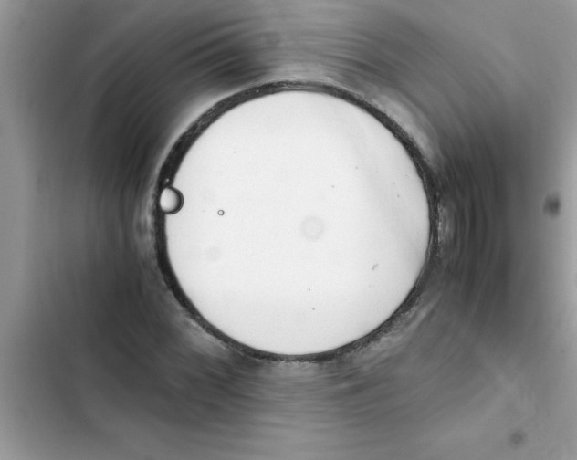 X0000103131068200809191936