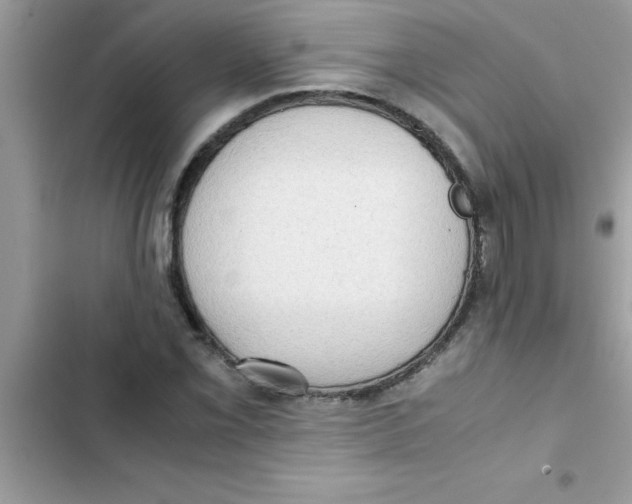 X0000103131069200809191936
