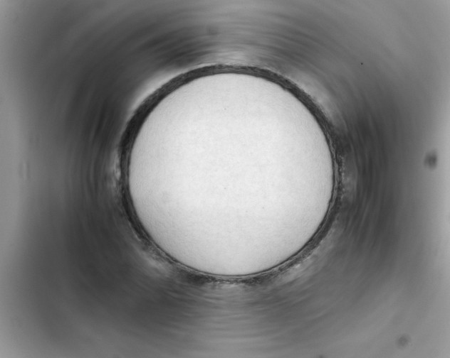 X0000103131070200809191936
