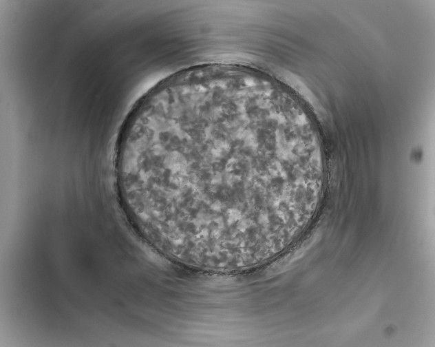 X0000103131071200809191936