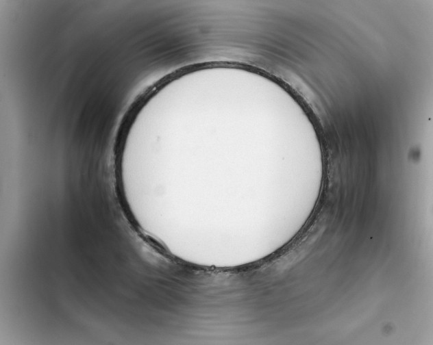 X0000103131072200809191936