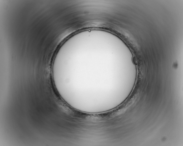 X0000103131073200809191936