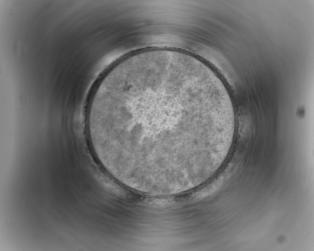 X0000103131074200809191936
