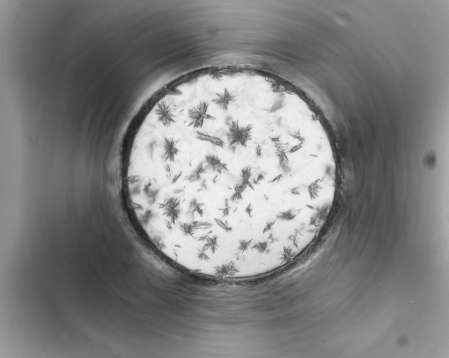 X0000103131075200809191936