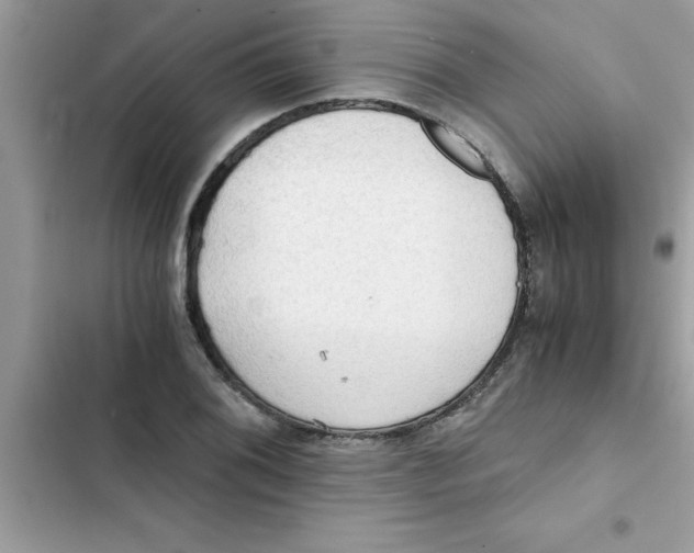 X0000103131076200809191936