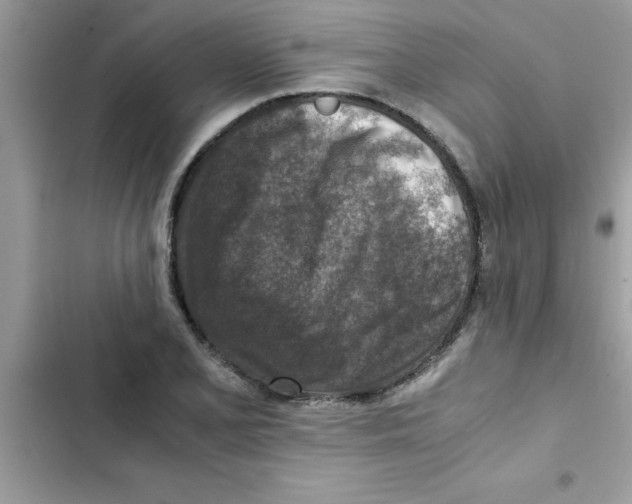 X0000103131077200809191936