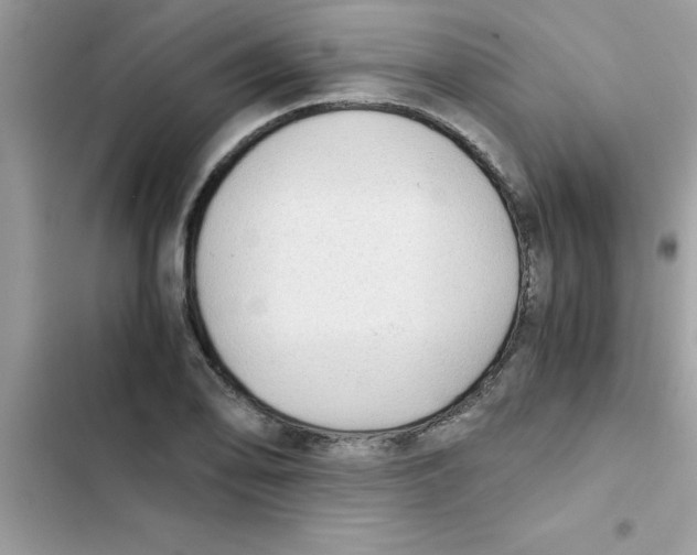 X0000103131078200809191936