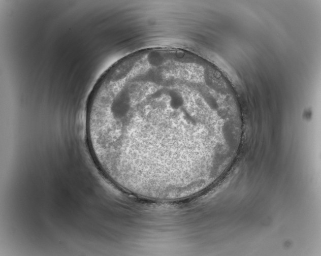 X0000103131079200809191936