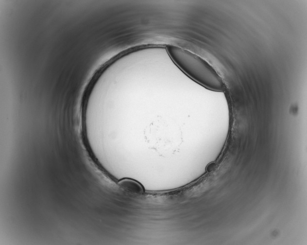 X0000103131080200809191935