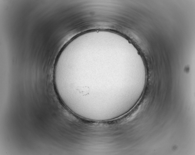 X0000103131081200809191935