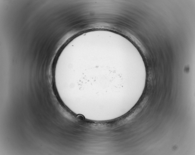X0000103131082200809191935