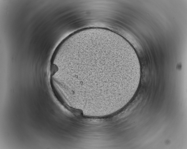 X0000103131084200809191935