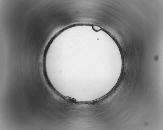 X0000103131085200809191935