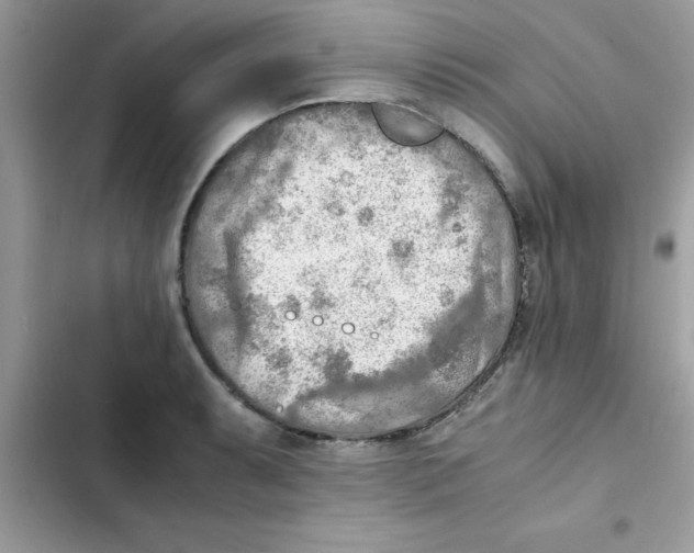 X0000103131087200809191935