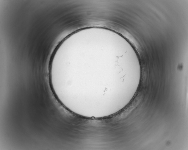 X0000103131088200809191935