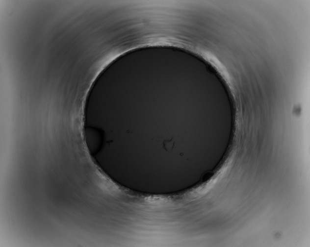 X0000103131089200809191935