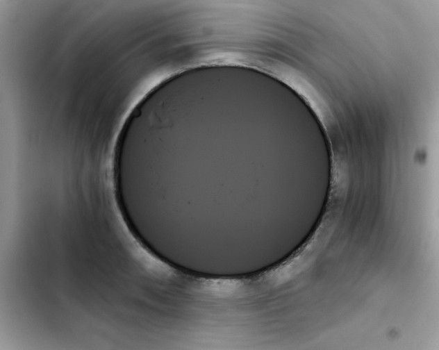 X0000103131090200809191935