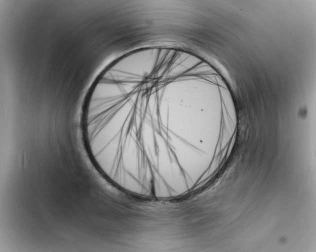 X0000103131091200809191935