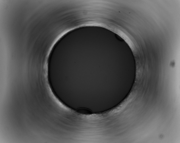 X0000103131092200809191935