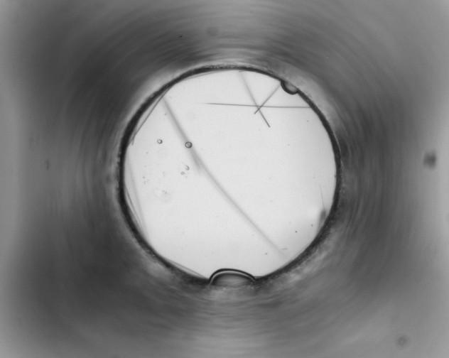 X0000103131093200809191935