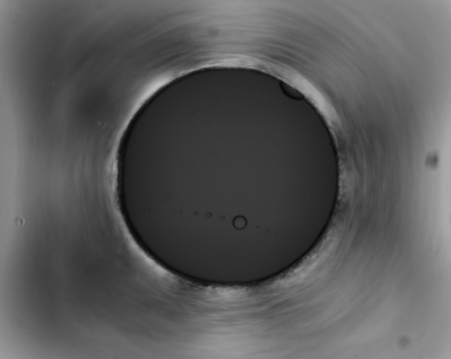 X0000103131095200809191935