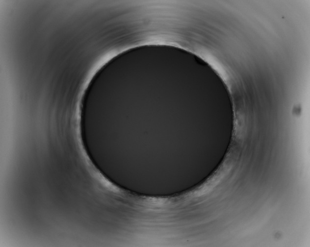 X0000103131096200809191935