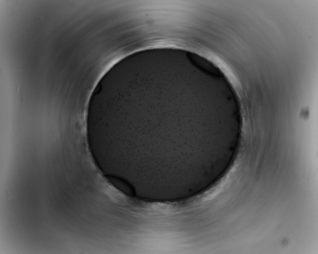 X0000103131097200809191935