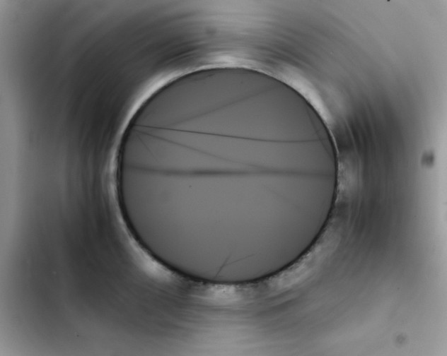 X0000103131098200809191935