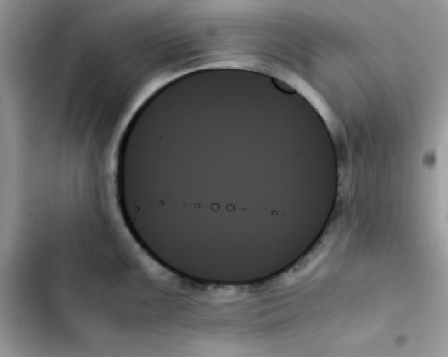 X0000103131099200809191935