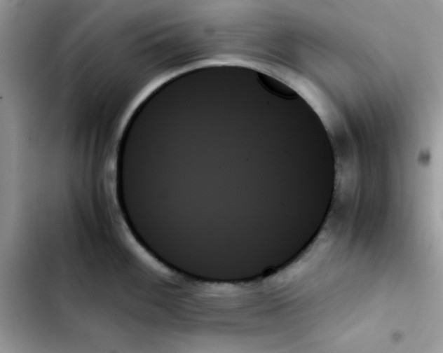 X0000103131100200809191935