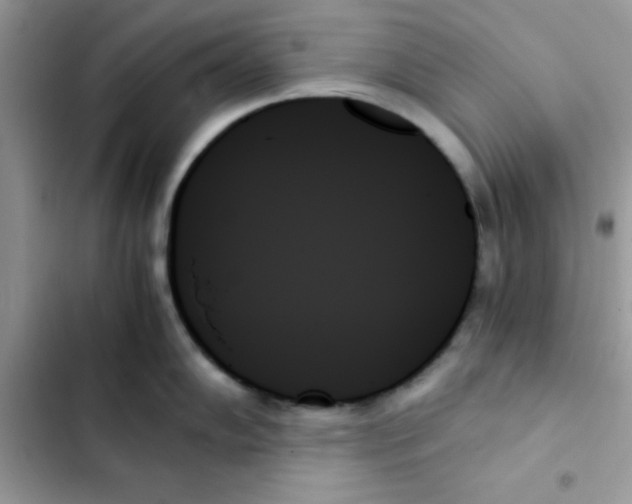 X0000103131102200809191935