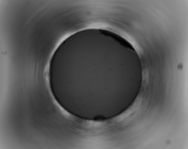 X0000103131103200809191935