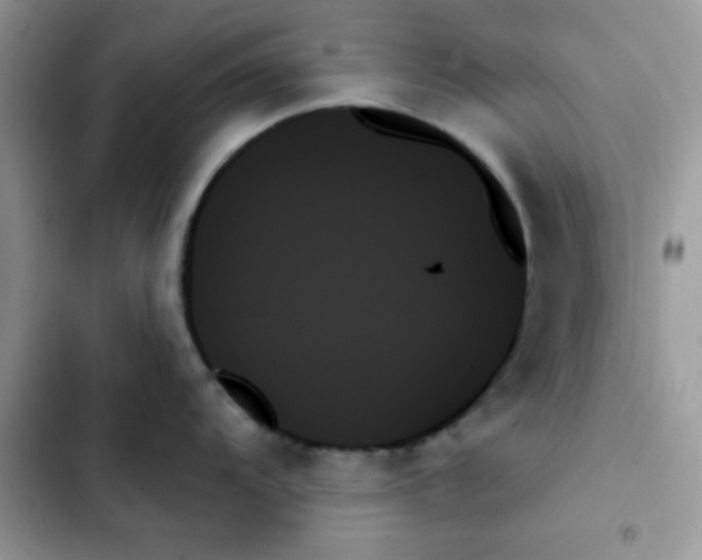 X0000103131104200809191935