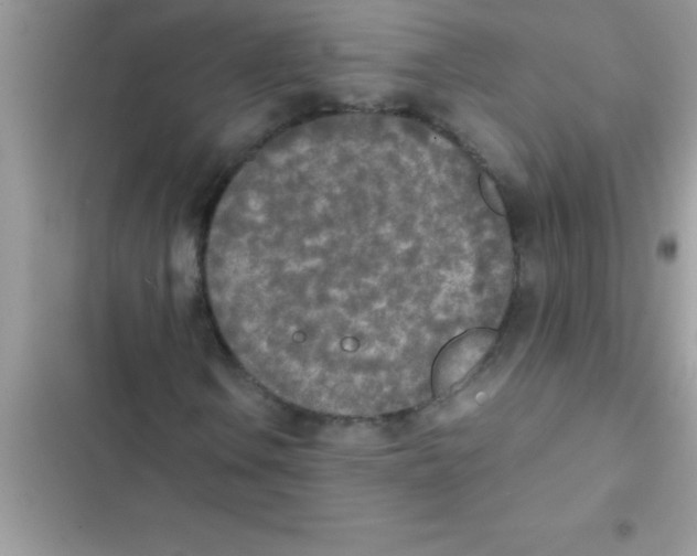 X0000103131106200809191934