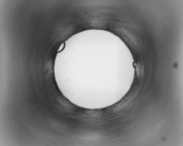X0000103131107200809191934