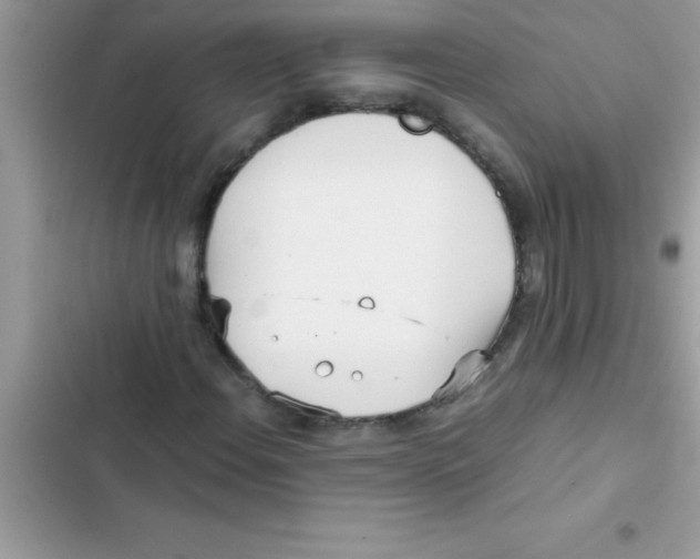 X0000103131108200809191934