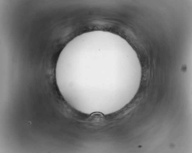 X0000103131109200809191934