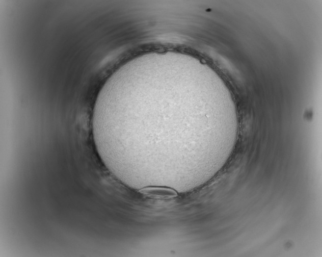 X0000103131110200809191934