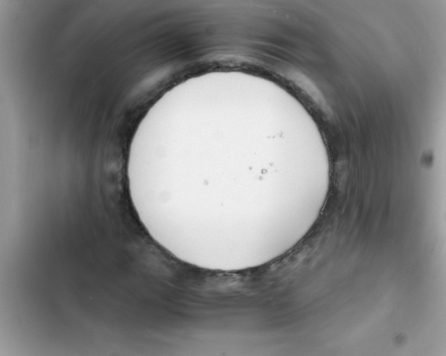 X0000103131111200809191934