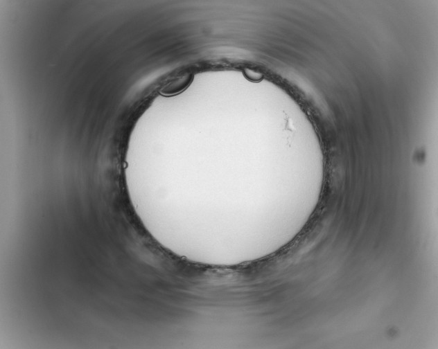X0000103131112200809191934