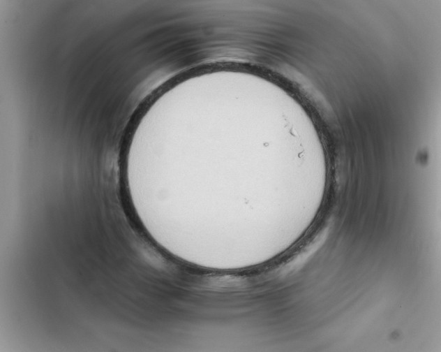 X0000103131113200809191934