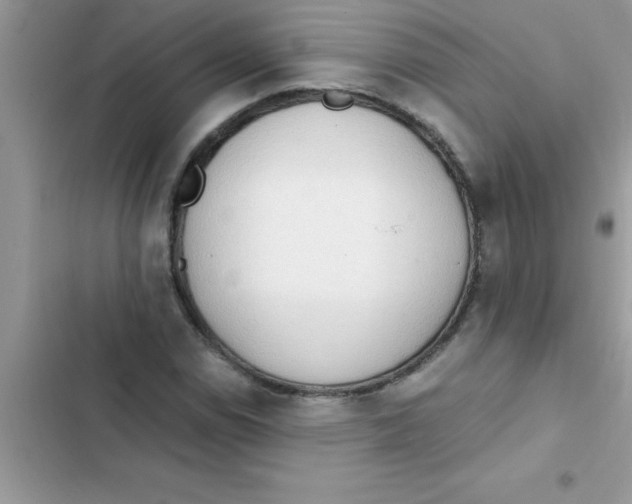X0000103131114200809191934