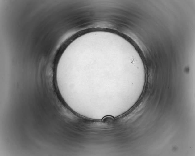 X0000103131115200809191934