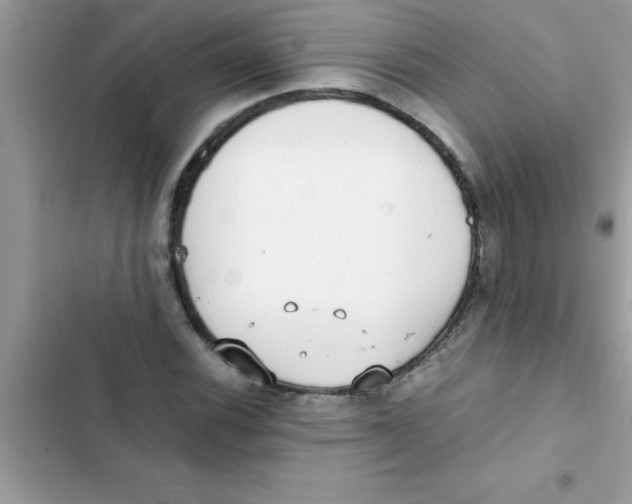 X0000103131116200809191934