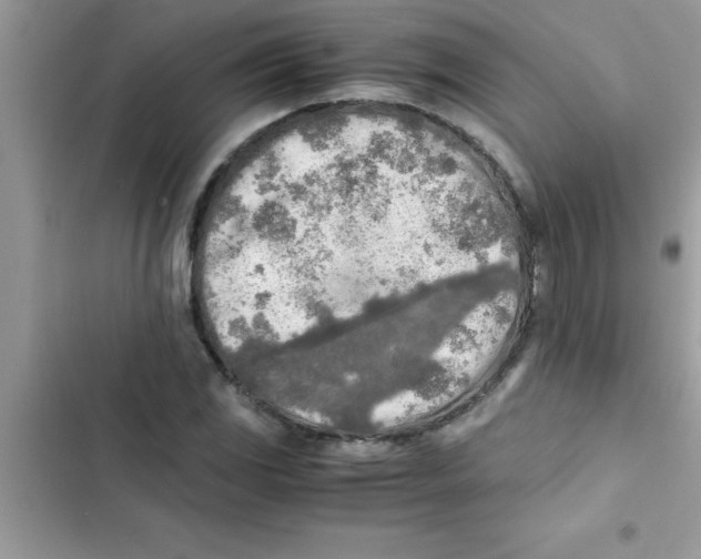 X0000103131117200809191935