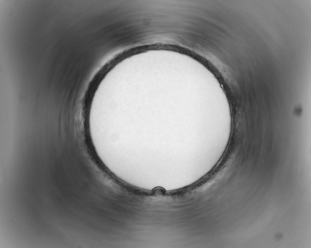 X0000103131118200809191935