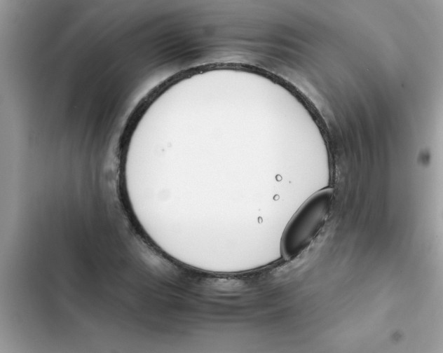 X0000103131119200809191935