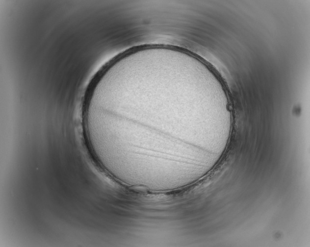 X0000103131120200809191935