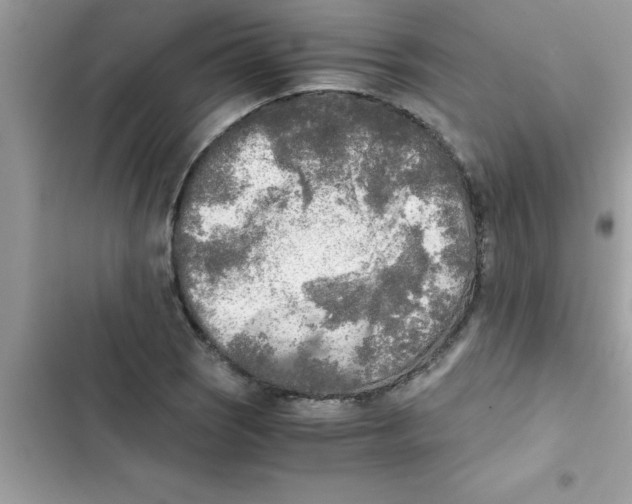 X0000103131121200809191935