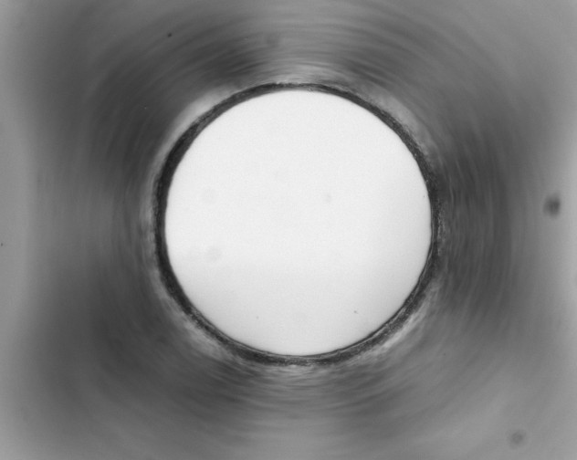 X0000103131122200809191935